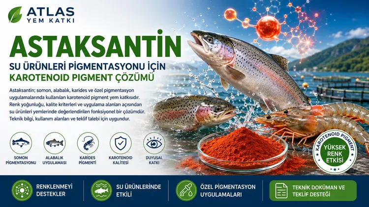 Astaksantin