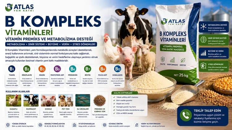 B Kompleks Vitaminleri