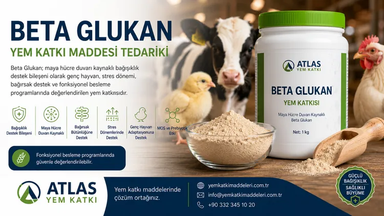 Beta Glukan