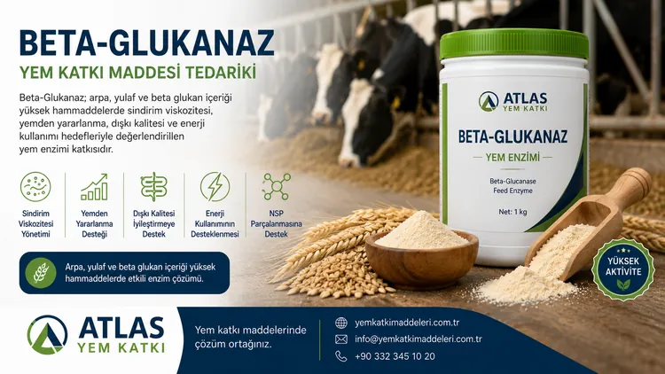 Beta-Glukanaz