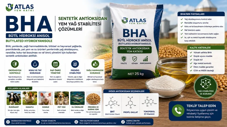 BHA