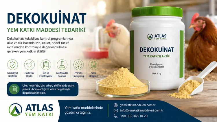 Dekokuinat