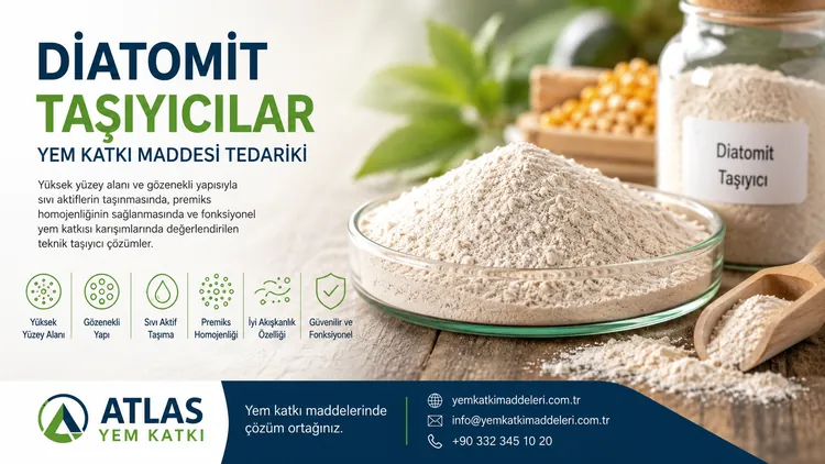 Diatomit Taşıyıcılar