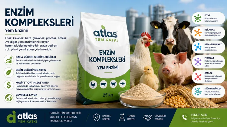Enzim Kompleksleri