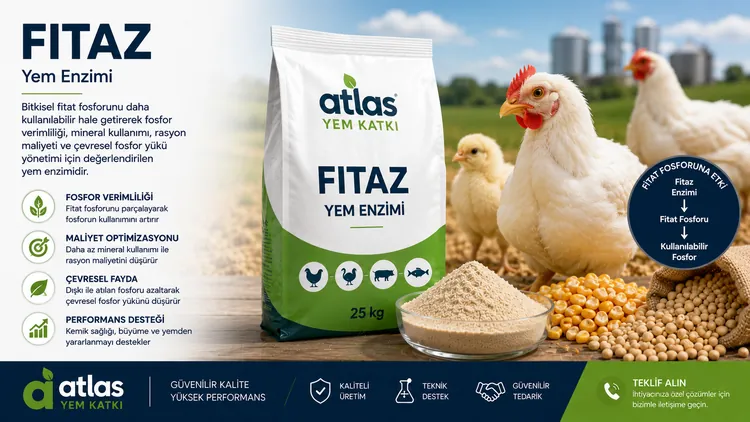Fitaz