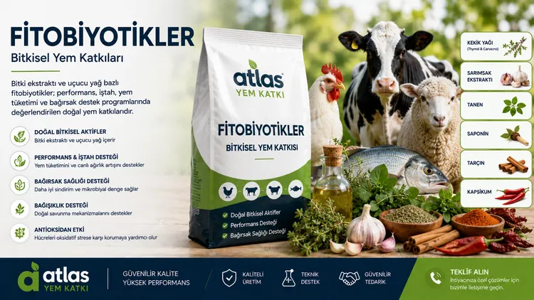 Fitobiyotikler