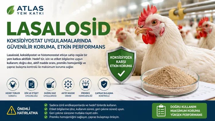 Lasalosid