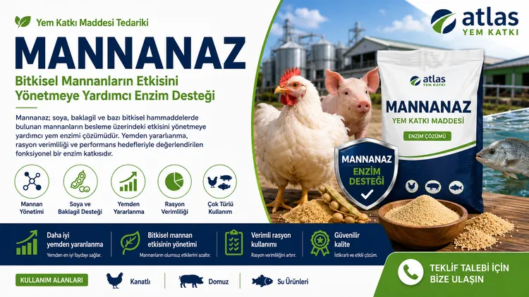 Mannanaz