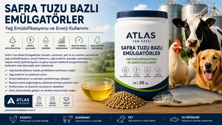 Safra Tuzu Bazlı Emülgatörler