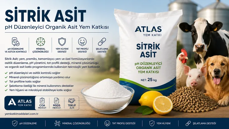 Sitrik Asit