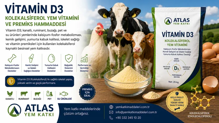 Vitamin D3