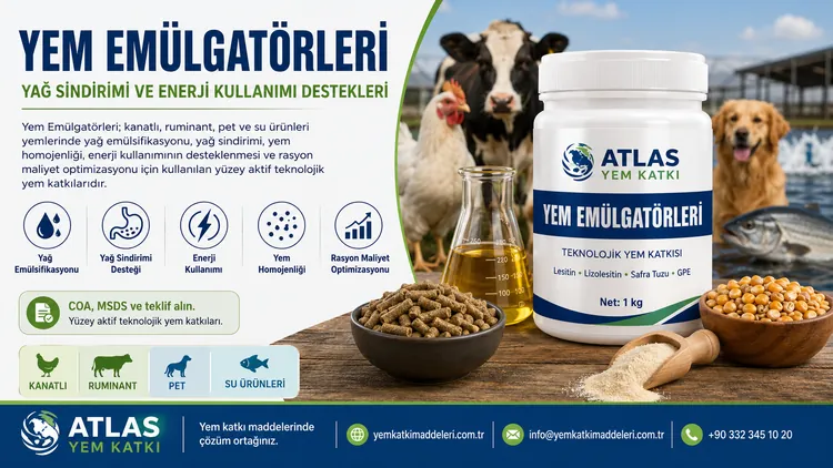Yem Emülgatörleri