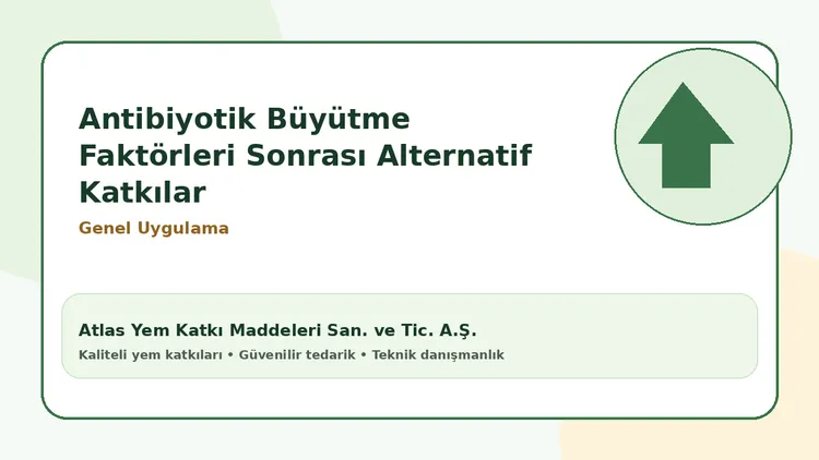 Antibiyotik Büyütme Faktörleri Sonrası Alternatif Katkılar