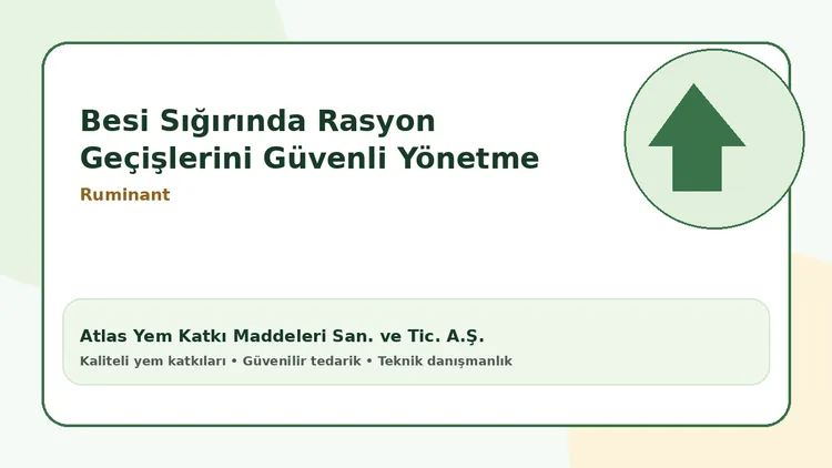 Besi Sığırında Rasyon Geçişlerini Güvenli Yönetme