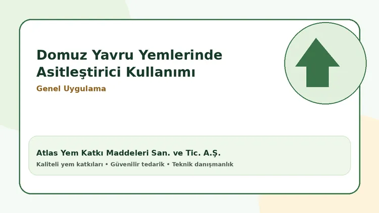 Domuz Yavru Yemlerinde Asitleştirici Kullanımı