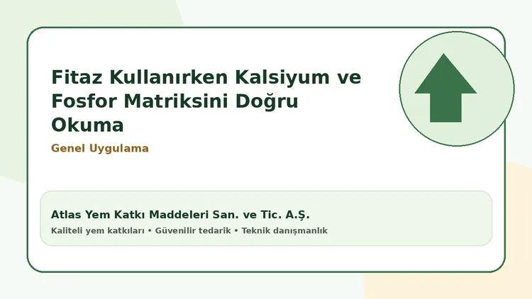 Fitaz Kullanırken Kalsiyum ve Fosfor Matriksini Doğru Okuma