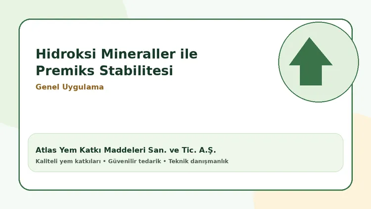 Hidroksi Mineraller ile Premiks Stabilitesi