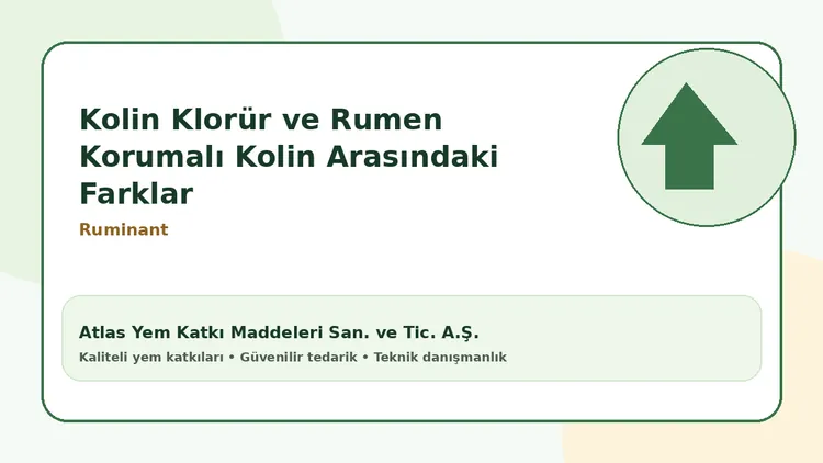 Kolin Klorür ve Rumen Korumalı Kolin Arasındaki Farklar