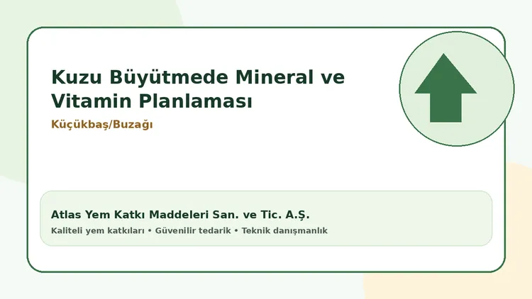 Kuzu Büyütmede Mineral ve Vitamin Planlaması