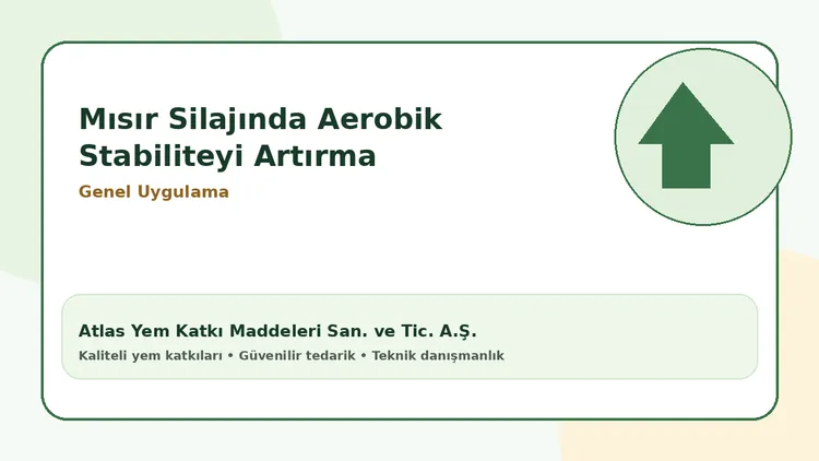 Mısır Silajında Aerobik Stabiliteyi Artırma