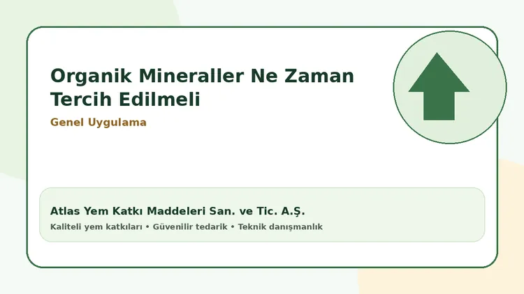 Organik Mineraller Ne Zaman Tercih Edilmeli