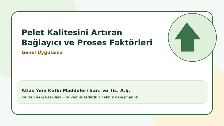 Pelet Kalitesini Artıran Bağlayıcı ve Proses Faktörleri