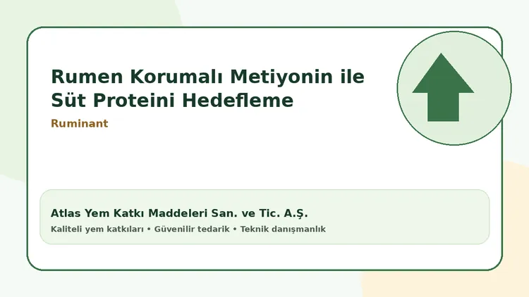 Rumen Korumalı Metiyonin ile Süt Proteini Hedefleme