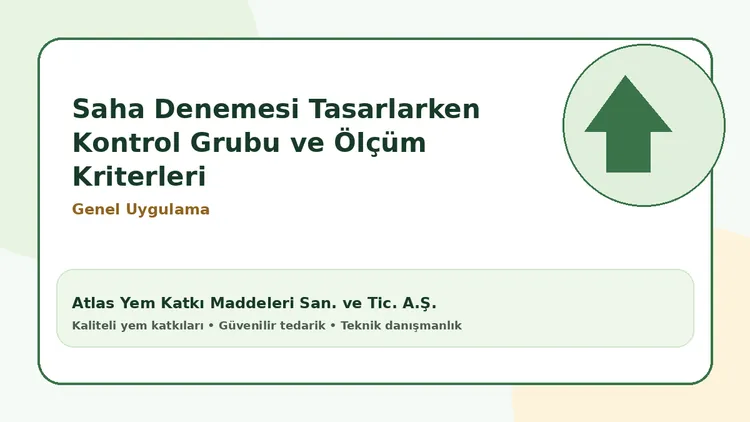 Saha Denemesi Tasarlarken Kontrol Grubu ve Ölçüm Kriterleri