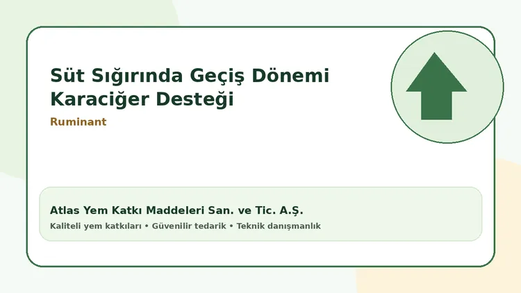 Süt Sığırında Geçiş Dönemi Karaciğer Desteği