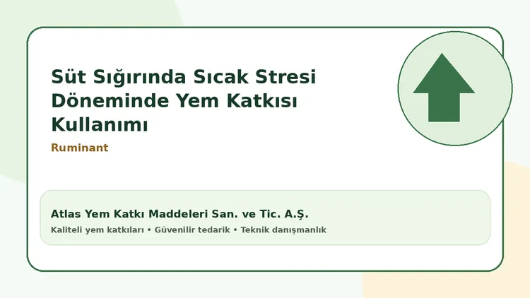Süt Sığırında Sıcak Stresi Döneminde Yem Katkısı Kullanımı