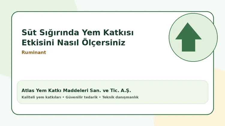 Süt Sığırında Yem Katkısı Etkisini Nasıl Ölçersiniz
