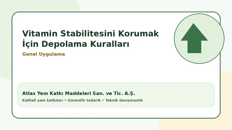 Vitamin Stabilitesini Korumak İçin Depolama Kuralları