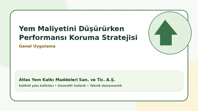 Yem Maliyetini Düşürürken Performansı Koruma Stratejisi