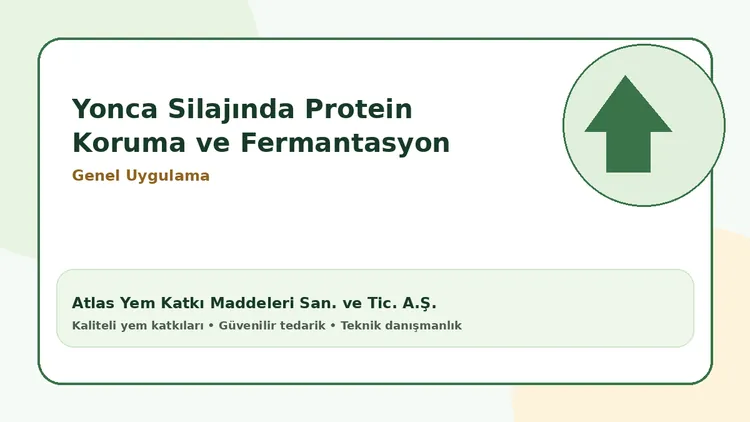 Yonca Silajında Protein Koruma ve Fermantasyon