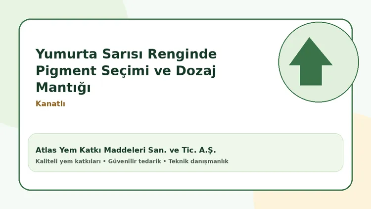 Yumurta Sarısı Renginde Pigment Seçimi ve Dozaj Mantığı