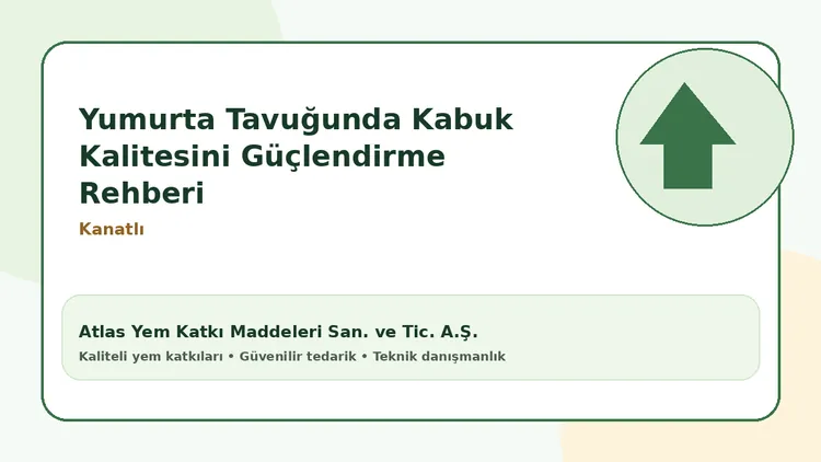Yumurta Tavuğunda Kabuk Kalitesini Güçlendirme Rehberi